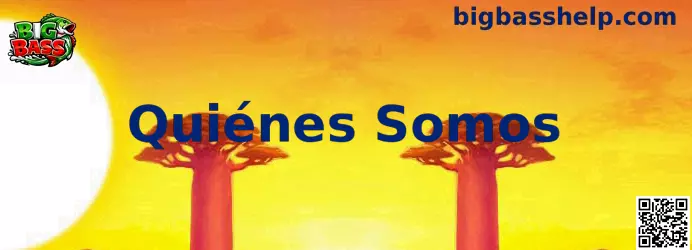 Información sobre quiénes somos de Big Bass